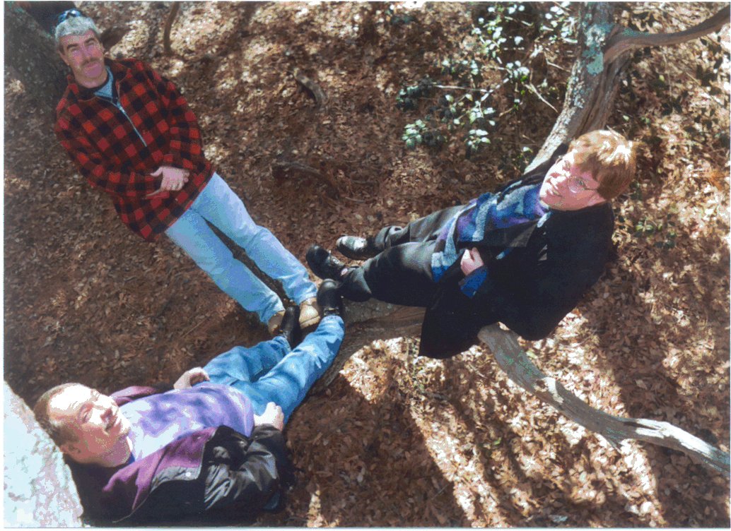 Men in Trees Men in Trees